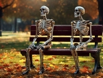 Skeletons In The Park