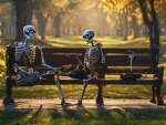 Skeletons In The Park