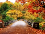 Autumn Bridge