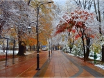  -First snow in autumn park!-