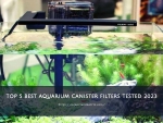 Top 5 best aquarium canister filters tested 2023