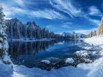Lake In Winter