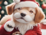 Santa Paws
