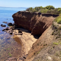 Back beach Mornington Peninsula