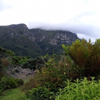 Kirstenbosch Botanical Garden