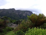 Kirstenbosch Botanical Garden