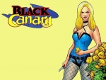 Black Canary