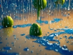 raindrops