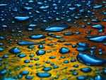 Raindrops