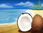 Coconuts HD 