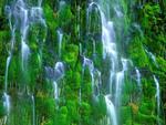 Amazing Green Waterfalls