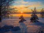 Winter Sunset At The River, Arvika, Sweden