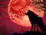 Full Blood Moon