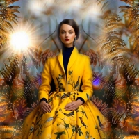 Color Block In Yellow And Black