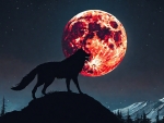Full Blood Moon