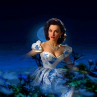 Color Block In Night Blue On White