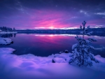 Purple winter sunset