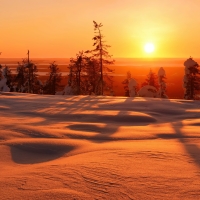 Winter sunset