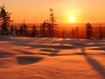 Winter sunset