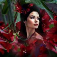 Color Block In Red And Blue