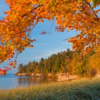 Fall Colors At Lake Michigan
