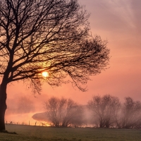 Late Autumn Morning , Lower Saxony, Germany