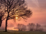 Late Autumn Morning , Lower Saxony, Germany