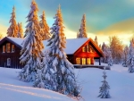 House in Winter Forest