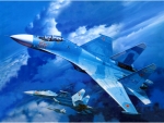Sukhoi Su-27 Artwork