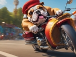 British Bulldog Riding A Motorcycle