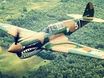 ww2 p40 warhawk