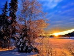 Winter Sunset in Quebec