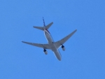 Plane Overhead