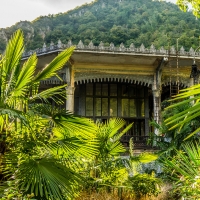 The lost house in the forest