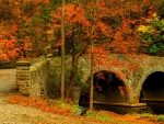 Bridge At Autumn Park