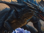 Black Dragon