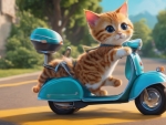 Cat Riding A Scooter