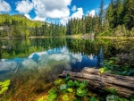 Hadikin Lake, Vancouver Island, British Columbia