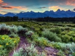 Jackson Hole, Grand Tetons NP, Wyoming