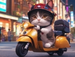 Cat Riding A Scooter