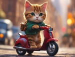 Cat Riding A Scooter