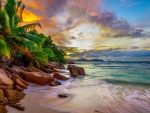 Seychelles Beach At Sunset