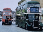 London Transport Bus and a Green Line Express