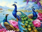 Peacocks