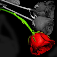 Beauty: Past and Present