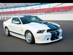 2011 shelby mustang gt 350