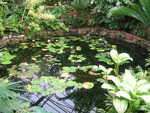Water Garden UK