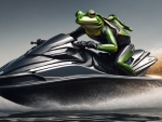 A Frog Riding A Jetski
