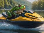 A Frog Riding A Jetski
