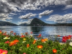 Flowers by Lake in Switzerland